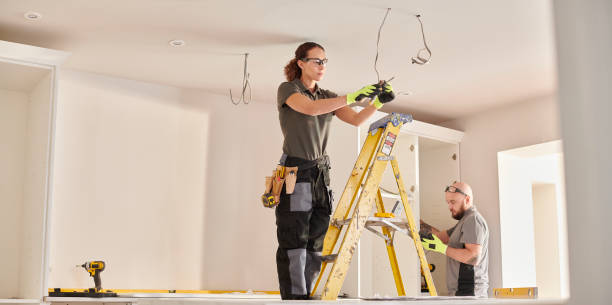 Best Electric Panel Repair  in Crisfield, MD